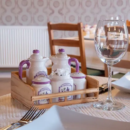 Kastel Transylvania מלון 3*