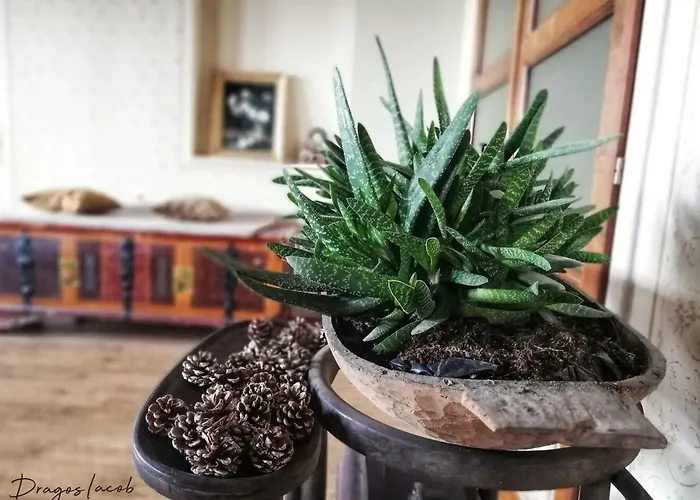 Hotel Kastel Transylvania Brasov